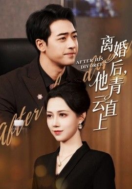 離婚后他青云直上