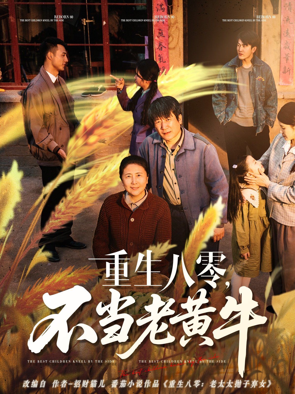 重生八零不當老黃牛
