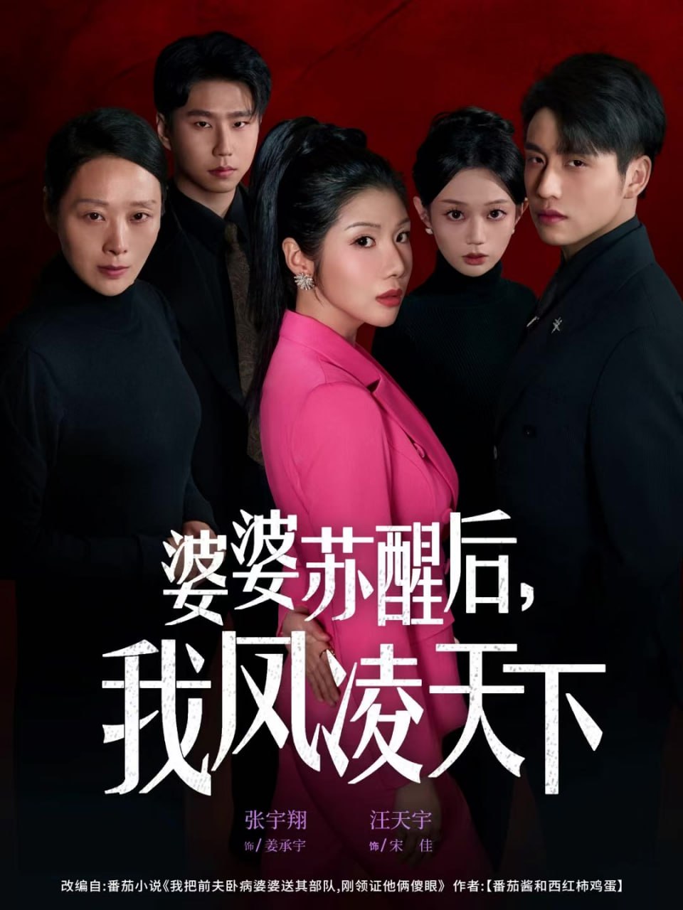 婆婆蘇醒后，我鳳凌天下