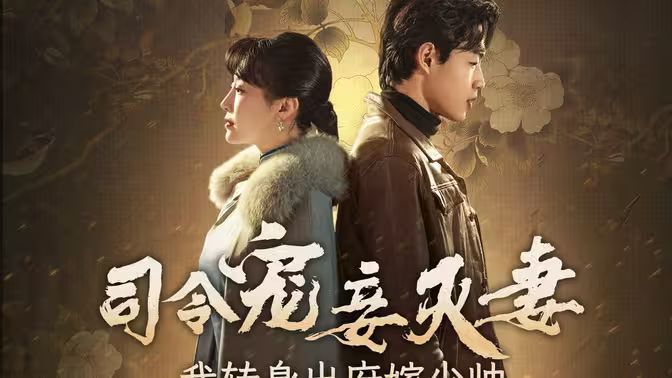 司令寵妾滅妻，我轉(zhuǎn)身出府嫁少帥