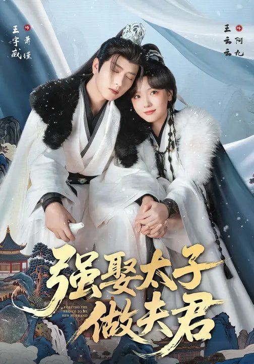 強(qiáng)娶太子做夫君