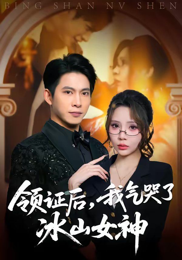領證后，我氣哭了冰山女神