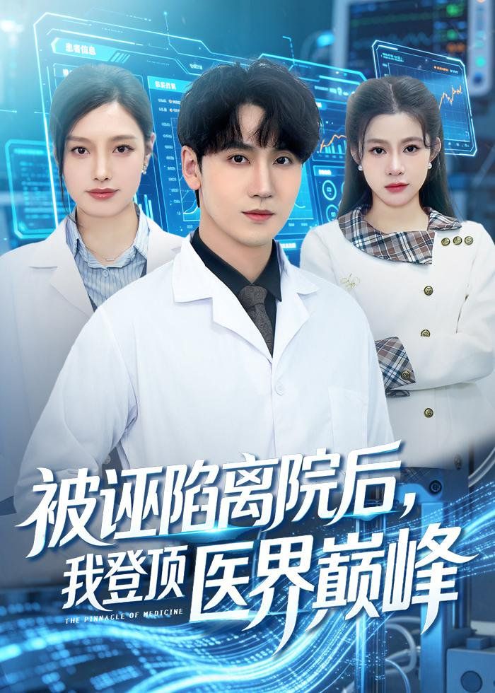 被誣陷離院后，我登頂醫(yī)界巔峰